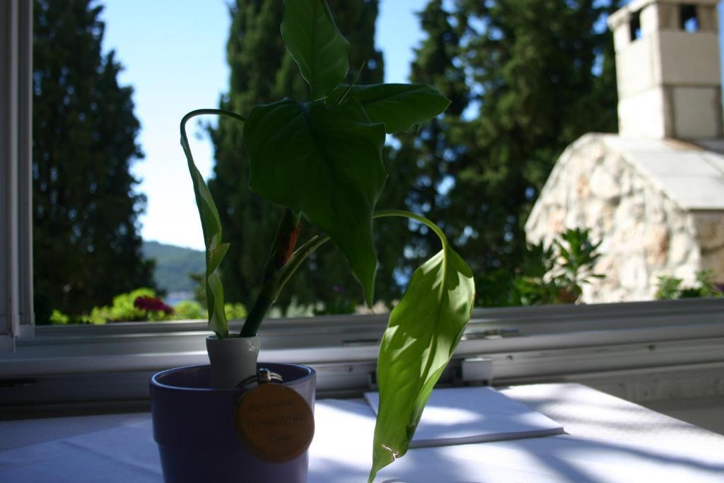 Apartments Dubrovnik Center الغرفة الصورة
